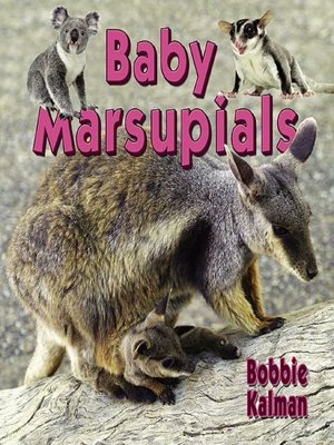 cover image of Baby Marsupials